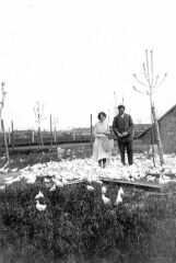 Andr en Alice tussen de kippen